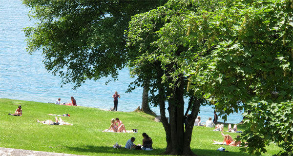 Hotel Restaurant - Acacias Bellevue Veyrier-du-Lac Esterno foto